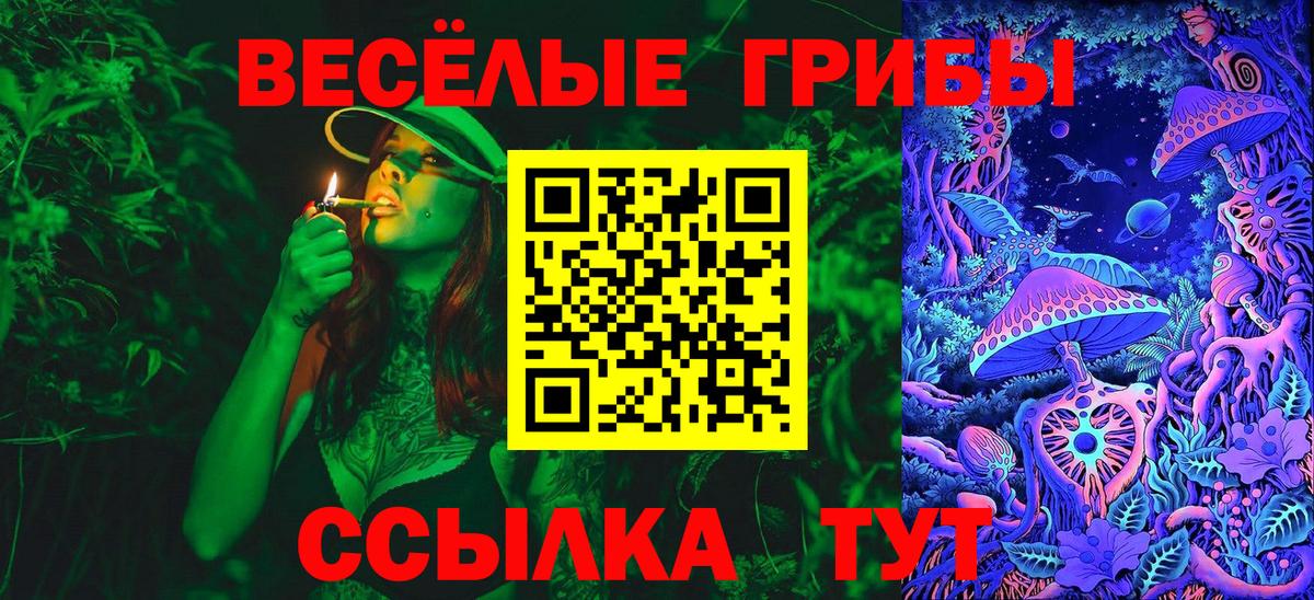 Псилоцибиновые грибы Cubensis Кулебаки